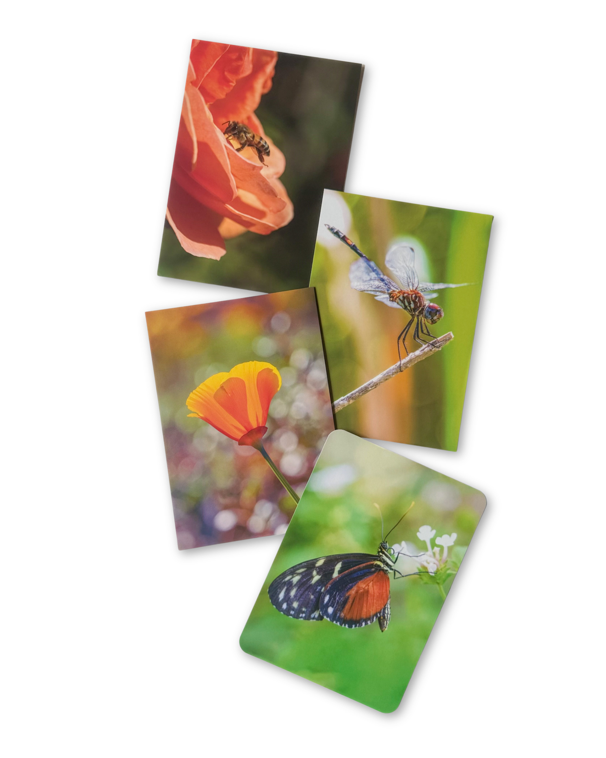 Postcards