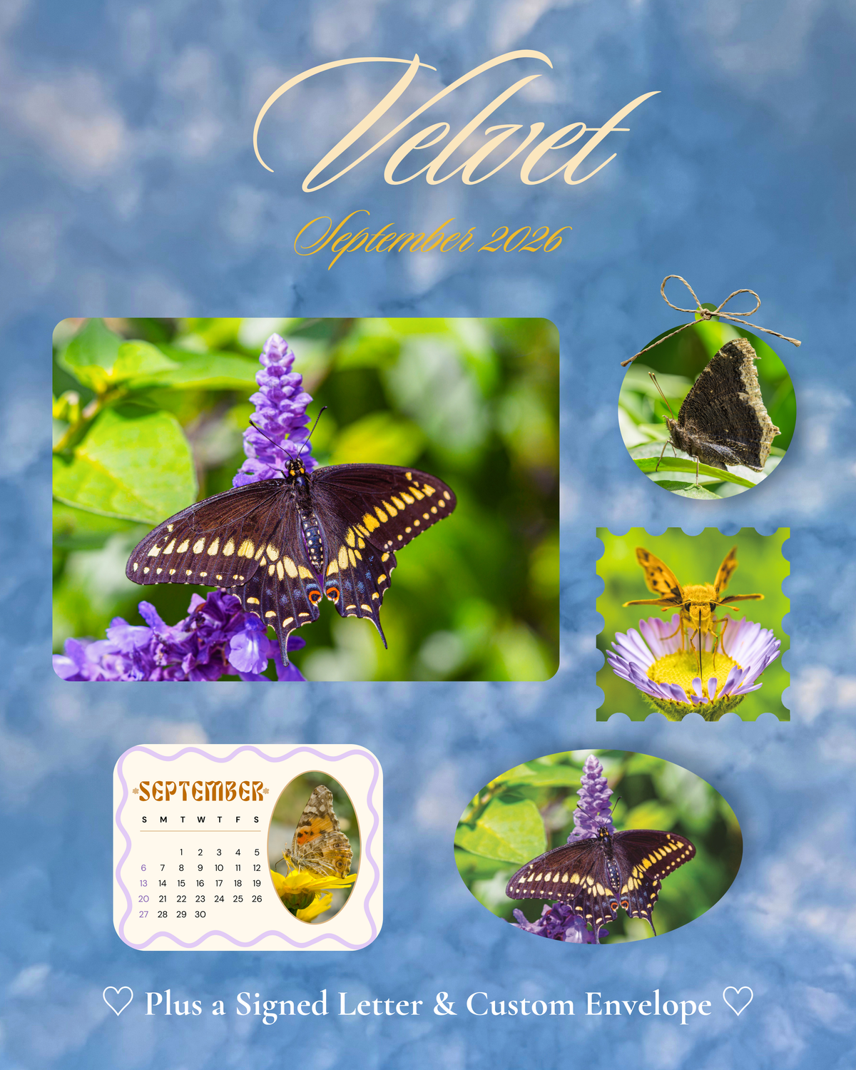Velvet | September 2026