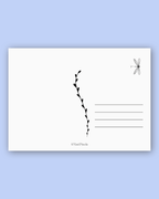 Dragon | Postcard