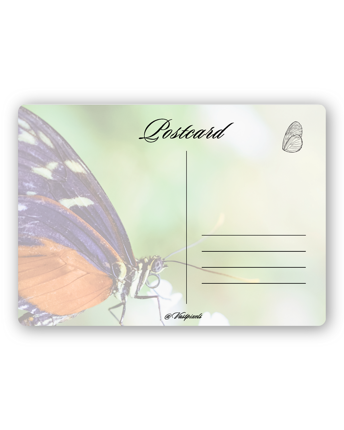 Ember | Postcard