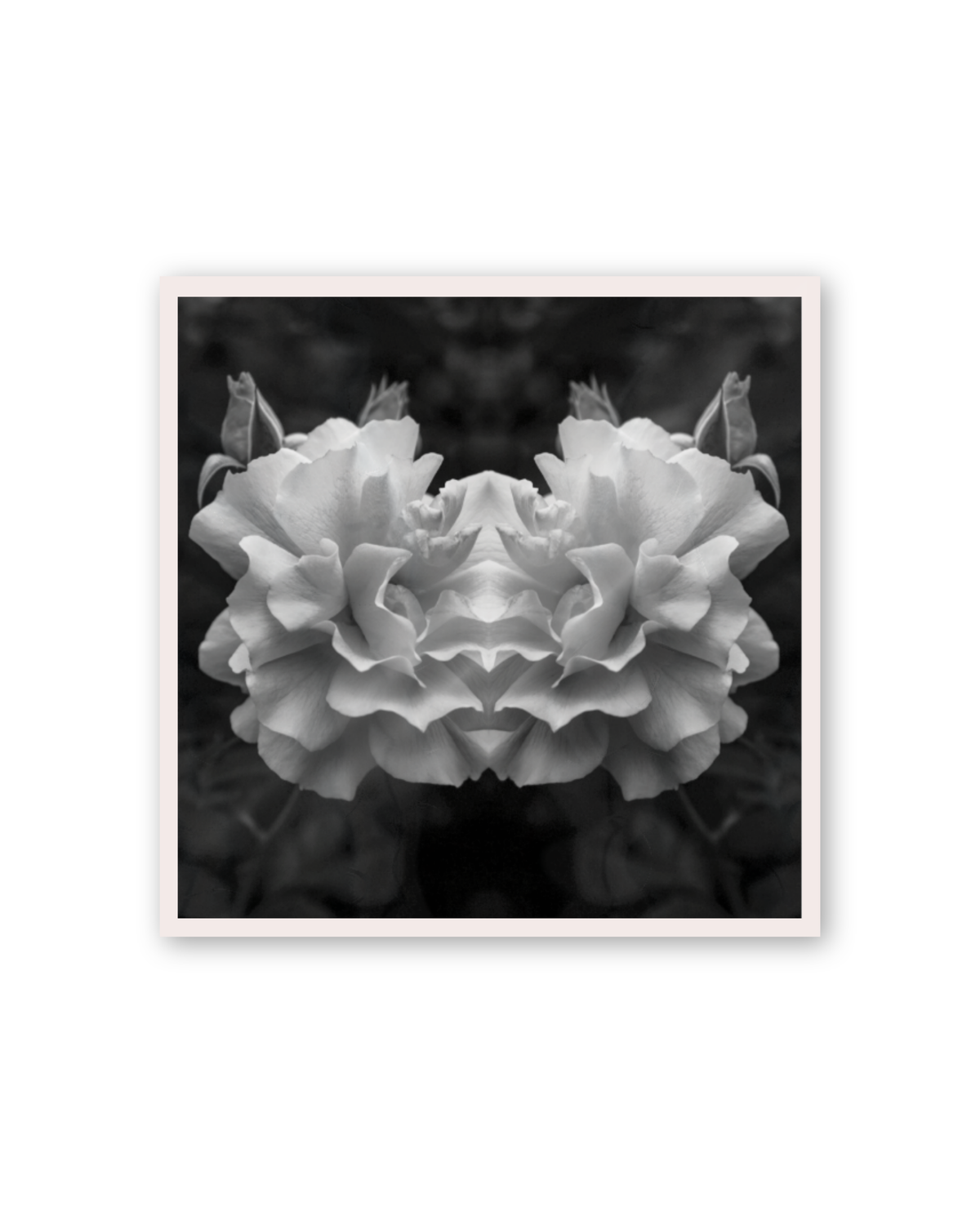 Opia | Sticker