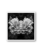 Opia | Sticker