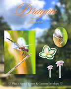 Dragon | July 2026