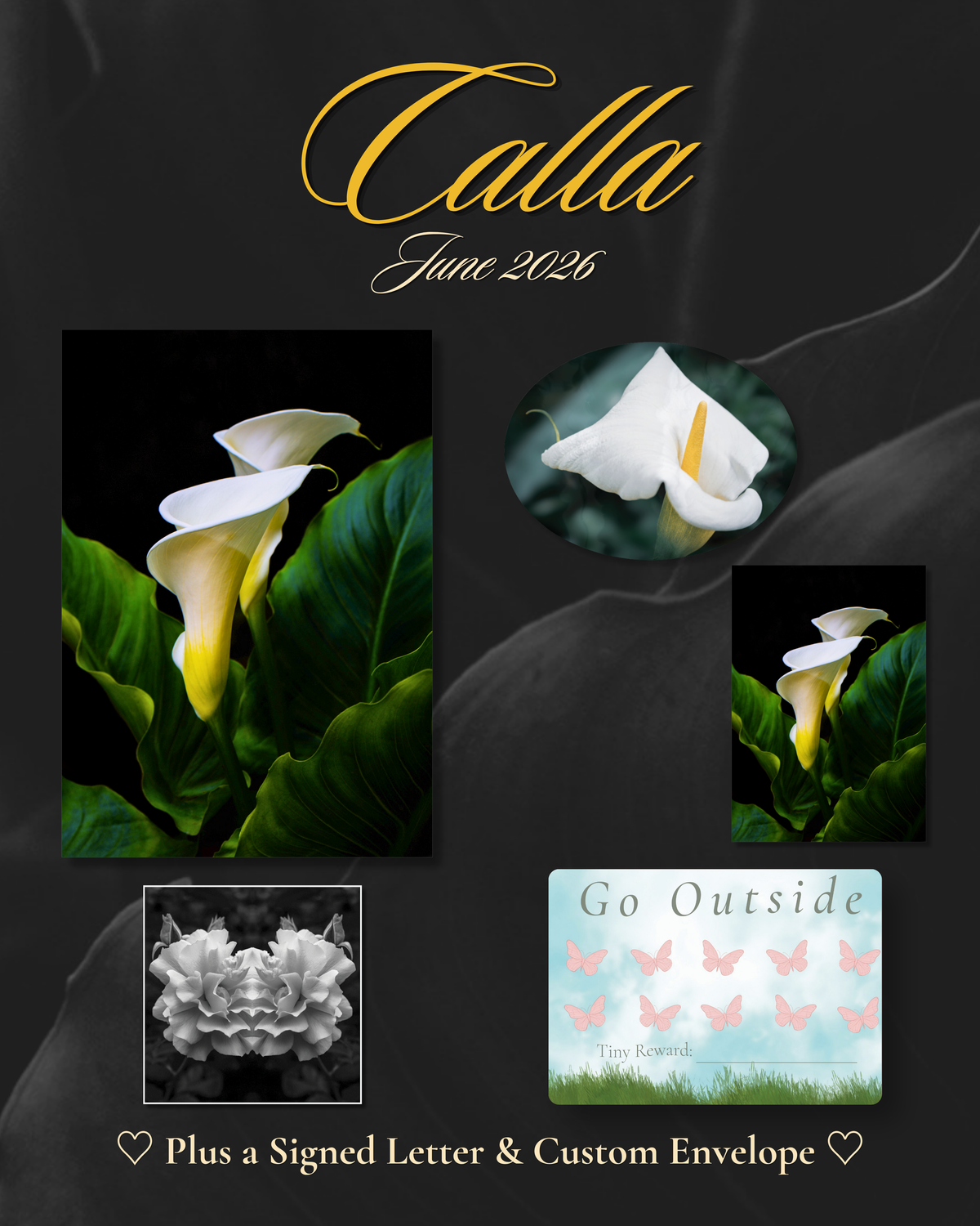Calla | June 2026