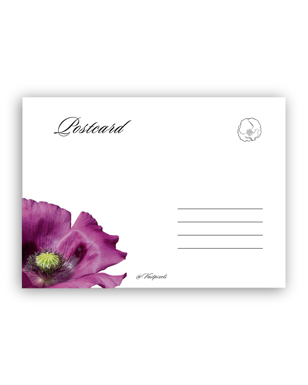 Leo | Postcard