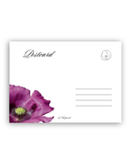 Leo | Postcard