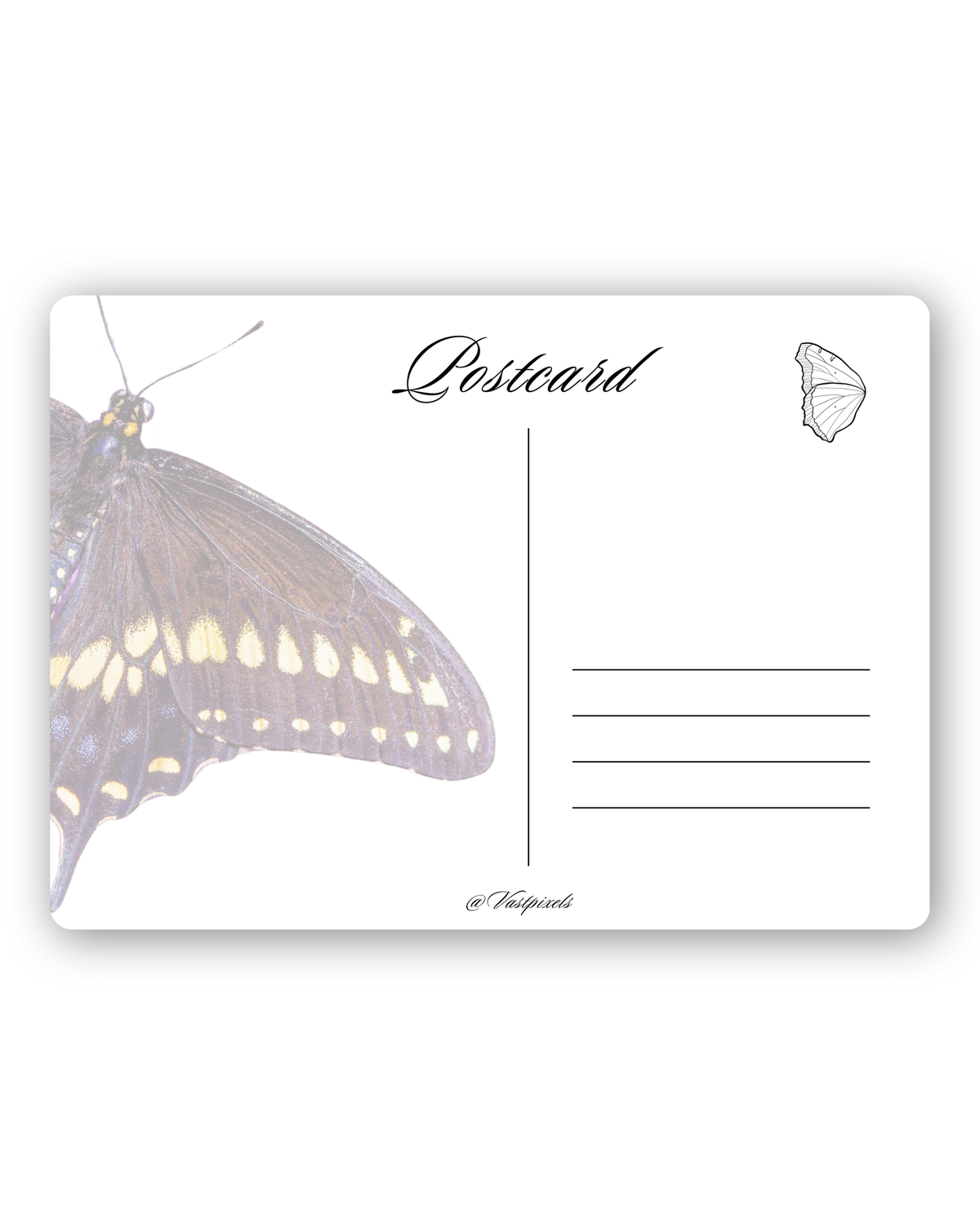Velvet | Postcard